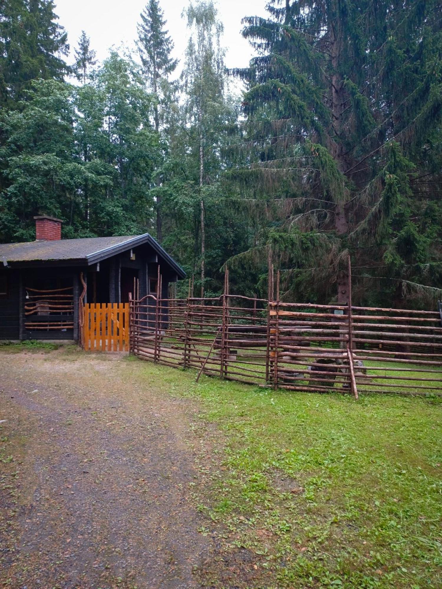 Accommodation And Fishing Vonkale Aanekoski Exterior photo
